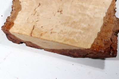 Board Karelian Masurbirch  495x140x30mm - KarMB2730