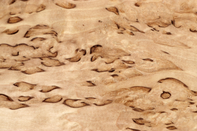 Board Karelian Masurbirch  560x180x28mm - KarMB2964
