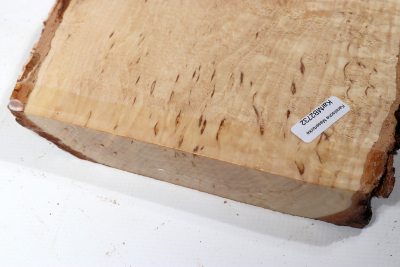 Board Karelian Masurbirch  620x150x25mm - KarMB2732