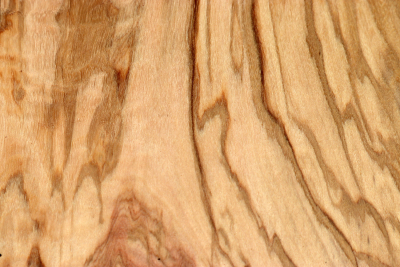 Brettsabschnitt Olive 190x180x30mm - Oliv0871