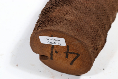 Grasbaum Abschnitt 440x210mm - Gras0150