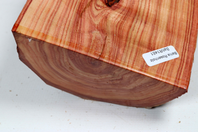Halbstamm Bahia Rosenholz 110x115x55mm - BahR1461