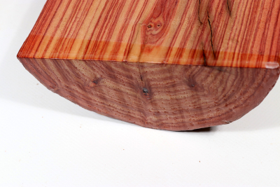 Half Log Brazilian Tulipwood 155x150x75mm - BahR1276
