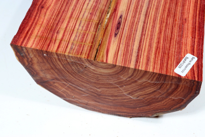 Halbstamm Bahia Rosenholz 185x170x80mm - BahR1228