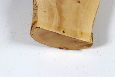 Halflog Boxwood 155x105x70mm - Buchs0529