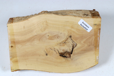 Halflog Boxwood 155x105x70mm - Buchs0529 Halflog Boxwood 155x105x70mm - Buchs0529