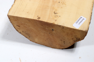 Halbstamm Buchsbaum 270x120x70mm - Buchs0365