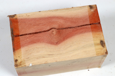 Johannisbrotbaum 100x60x50mm - JoBro0118