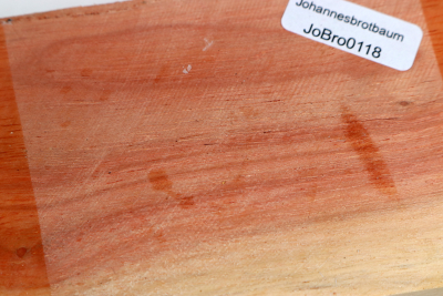 Johannisbrotbaum 100x60x50mm - JoBro0118