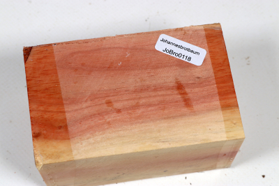 Johannisbrotbaum 100x60x50mm - JoBro0118