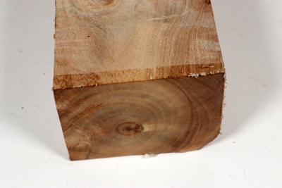 Carob Tree 165x75x62mm - JoBro0127