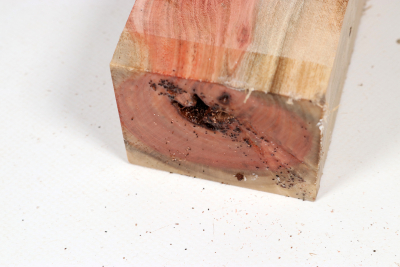 Carob Tree 190x67x53mm - JoBro0131
