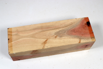 Carob Tree 205x65x55mm - JoBro0113