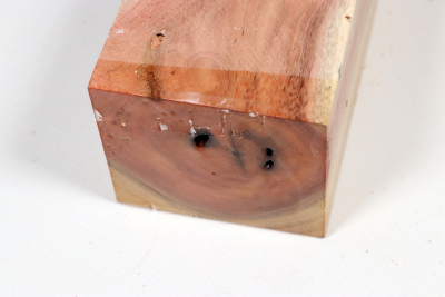 Carob Tree 205x65x55mm - JoBro0113