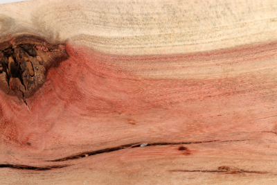 Carob Tree 210x80x42mm - JoBro0124