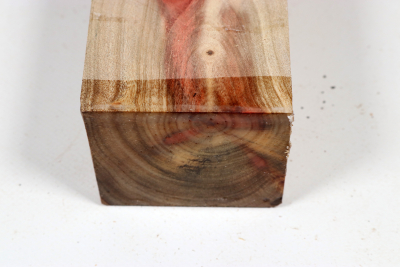 Johannisbrotbaum 215x70x55mm - JoBro0128