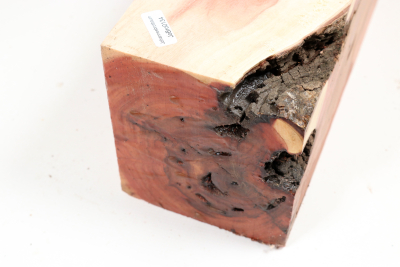 Carob Tree 410x100x100mm - JoBro0134