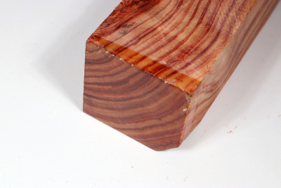 Brazilian Tulipwood 195x60x60mm - BahR1363