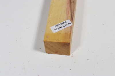 Brazilian Tulipwood 270x30x27mm - BahR1206