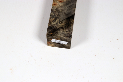 Square Buckeye Burl stabilized 155x40x40mm - Stabi3822