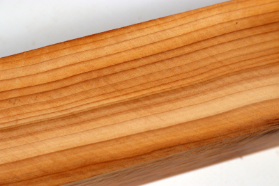 Square Yew 305x50x50mm - Eib1714