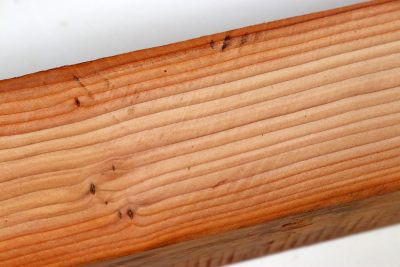 Square Yew 305x50x50mm - Eib1717