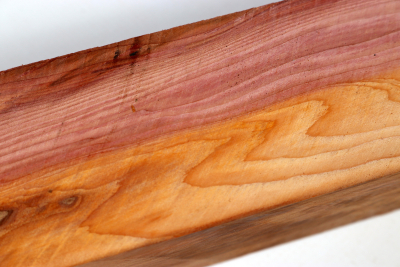 Square Yew 305x50x50mm - Eib1718