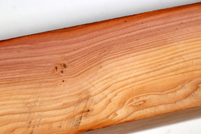 Square Yew 305x50x50mm - Eib1725