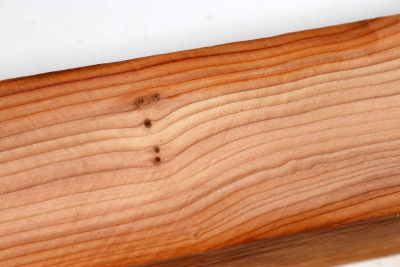 Square Yew 305x50x50mm - Eib1727