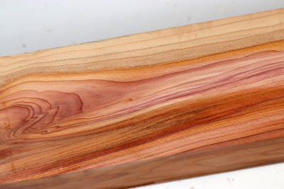 Square Yew 325x50x50mm - Eib1675