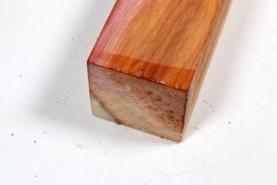 Square Yew 515x50x50mm - Eib1723
