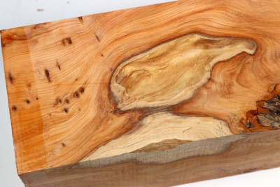 Square Yew Burl 205x85x80mm - Eib1705
