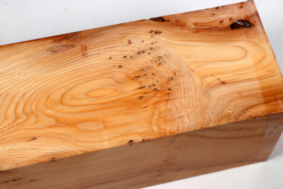 Square Yew Burl 315x85x85mm - Eib1709