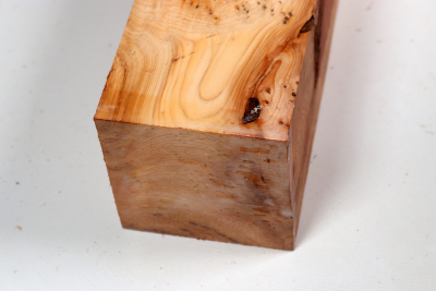 Square Yew Burl 315x85x85mm - Eib1709