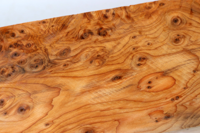 Square Yew Burl 350x70x70mm - Eib1720