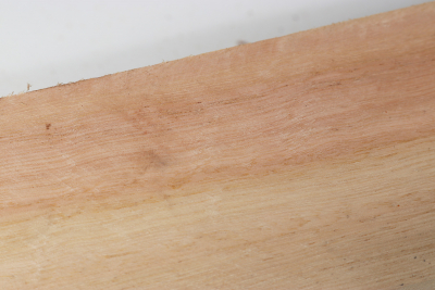 Square Eucalyptus 505x60x60mm - Euka0218