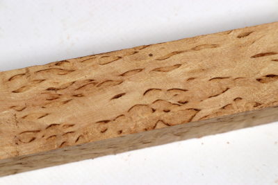 Square Karelian Masurbirch 350x33x33mm - KarMB2820