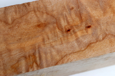 Kantel Muschelahorn 305x60x60mm - Ahorn0394