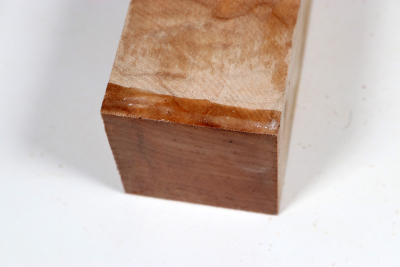 Kantel Muschelahorn 305x60x60mm - Ahorn0394