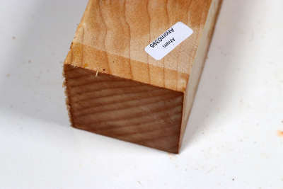 Kantel Muschelahorn 305x60x60mm - Ahorn0395