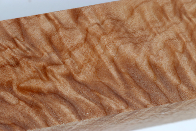 Kantel Muschelahorn 305x60x60mm - Ahorn0396