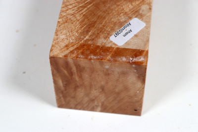 Kantel Muschelahorn 305x60x60mm - Ahorn0397