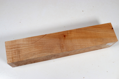 Kantel Muschelahorn 305x60x60mm - Ahorn0398