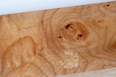 Kantel Muschelahorn 305x60x60mm - Ahorn0398