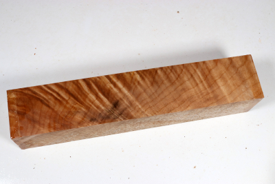 Kantel Muschelahorn 305x60x60mm - Ahorn0399