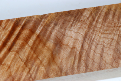 Kantel Muschelahorn 305x60x60mm - Ahorn0399