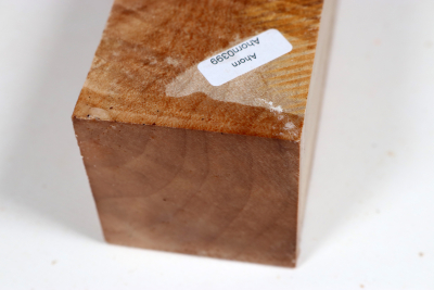 Kantel Muschelahorn 305x60x60mm - Ahorn0399