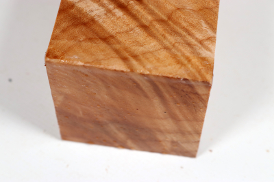 Kantel Muschelahorn 305x60x60mm - Ahorn0399