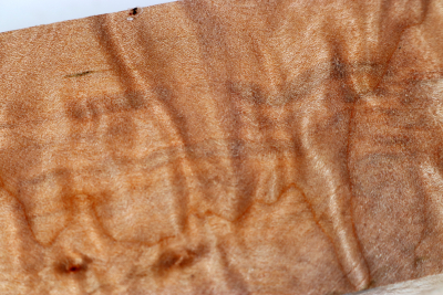 Kantel Muschelahorn 305x60x60mm - Ahorn0400