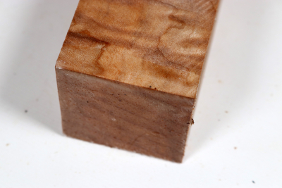 Kantel Muschelahorn 305x60x60mm - Ahorn0400